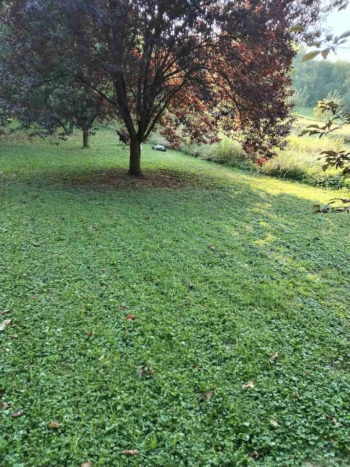 Rezultat nakon prve sezone