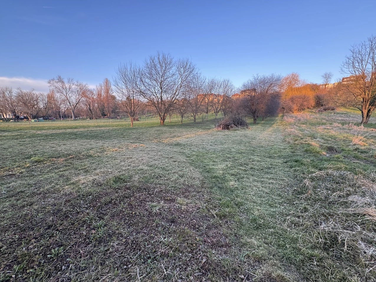 Održavanje velike površine